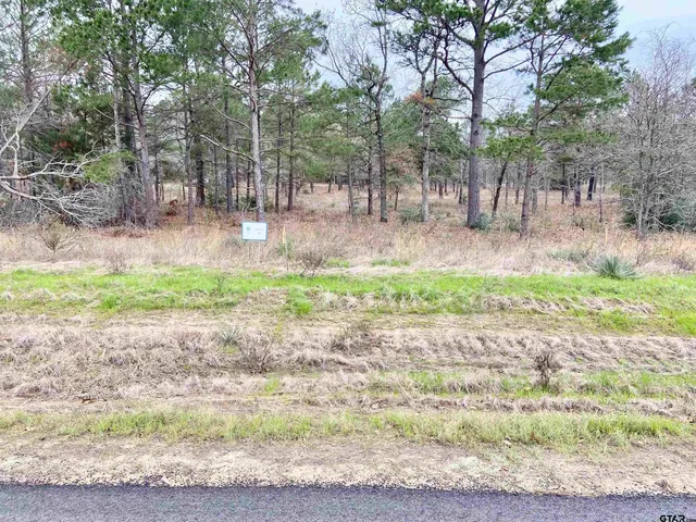 a view of a plant with a yard