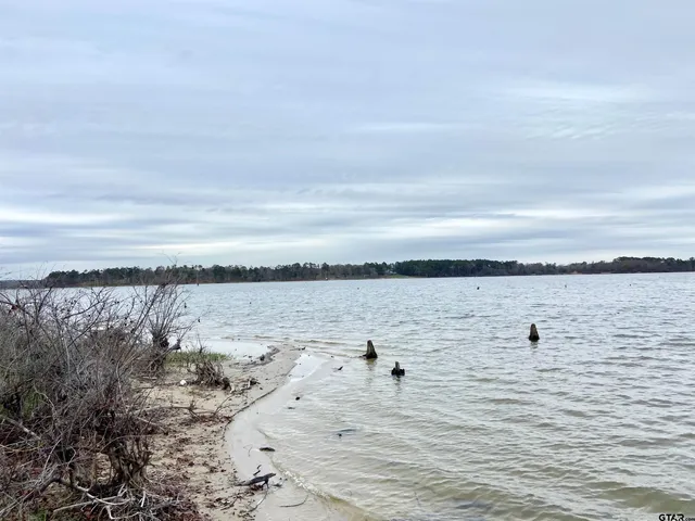 a view of outdoor space with trees all around