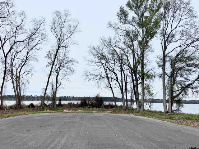 a view of a yard with wooden fence