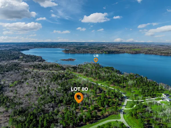 a view of yard with trees