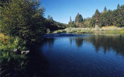 455 South K Ranch Grants Pass, OR 97527 - Photo 1 of 1 Primary Photo