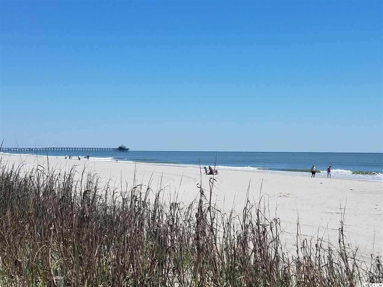 302 Kiskadee Loop, Unit 2F Conway, SC 29526 - Photo 30 of 40