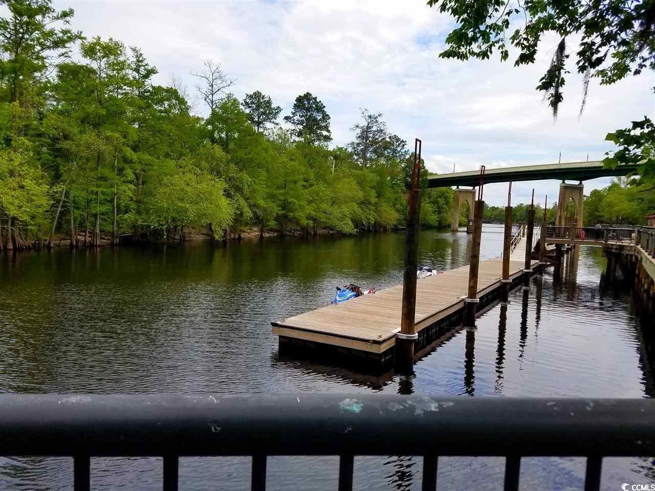 302 Kiskadee Loop, Unit 2F Conway, SC 29526 - Photo 35 of 40