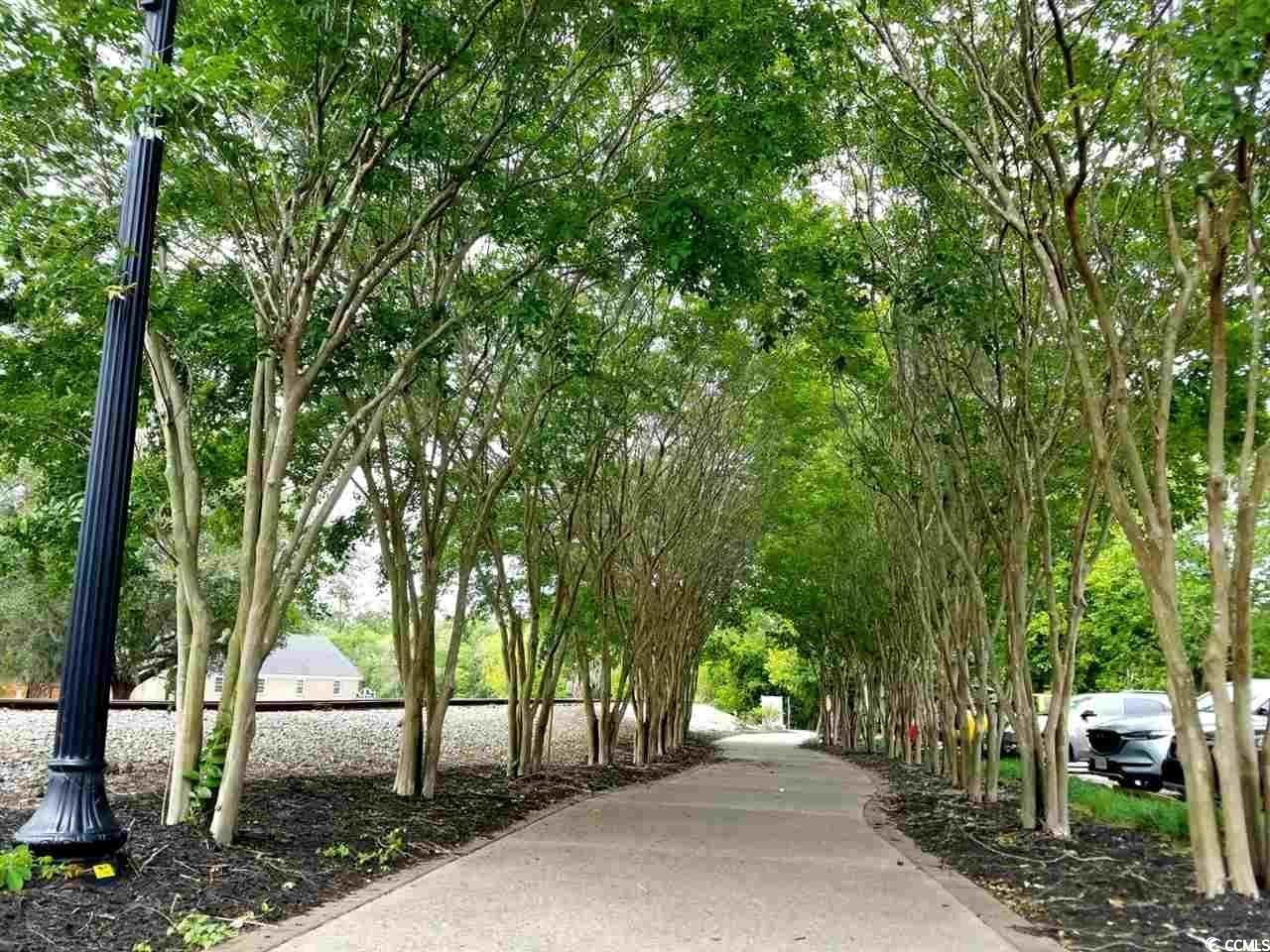 302 Kiskadee Loop, Unit 2F Conway, SC 29526 - Photo 36 of 40