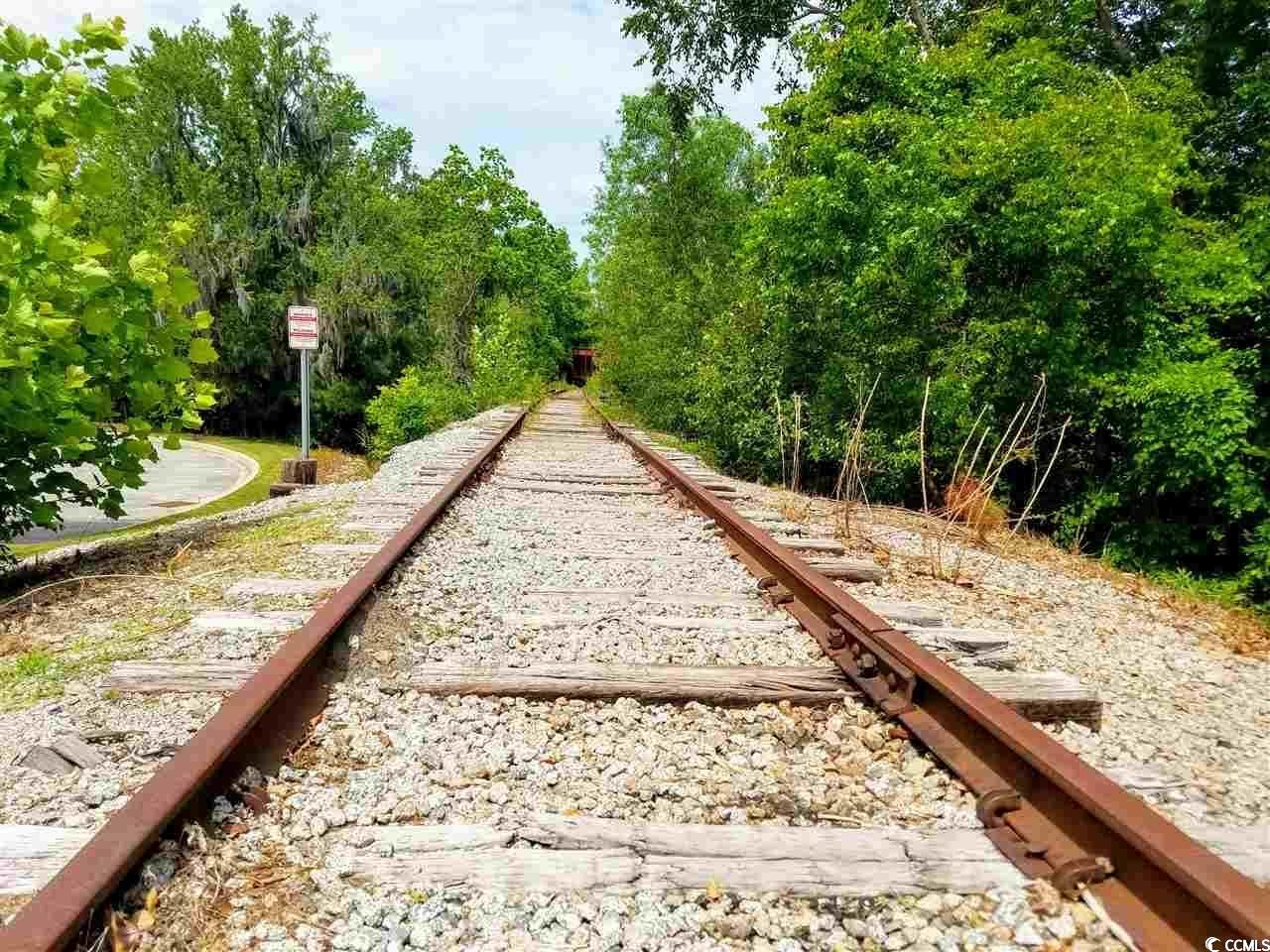 302 Kiskadee Loop, Unit 2F Conway, SC 29526 - Photo 37 of 40