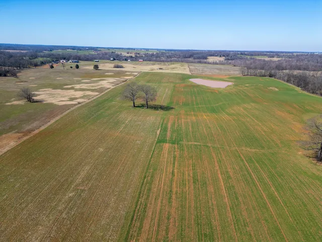 a view of an ocean and beach