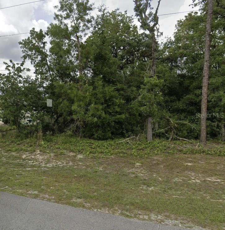 4 Southwest 155 Place Ocala, FL 34473 - Photo 1 of 2 Gallery Image 1