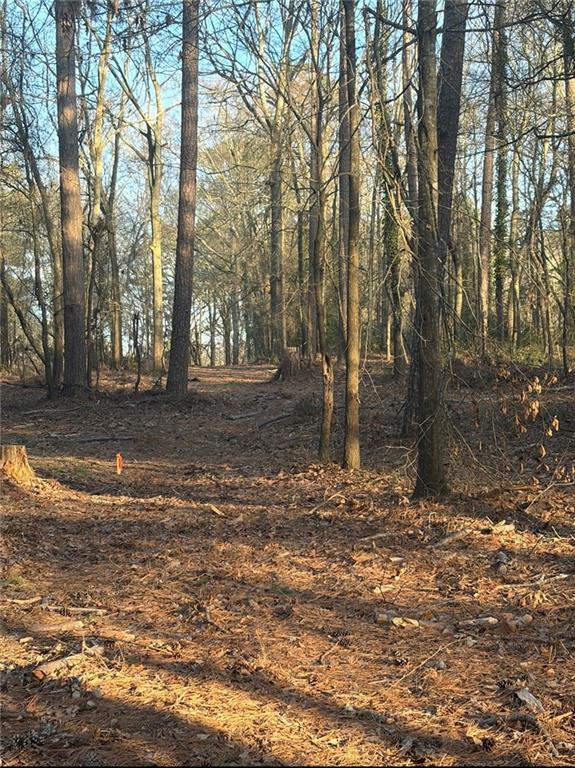 0 Jett Roberts Road Jefferson, GA 30549 - Photo 1 of 6