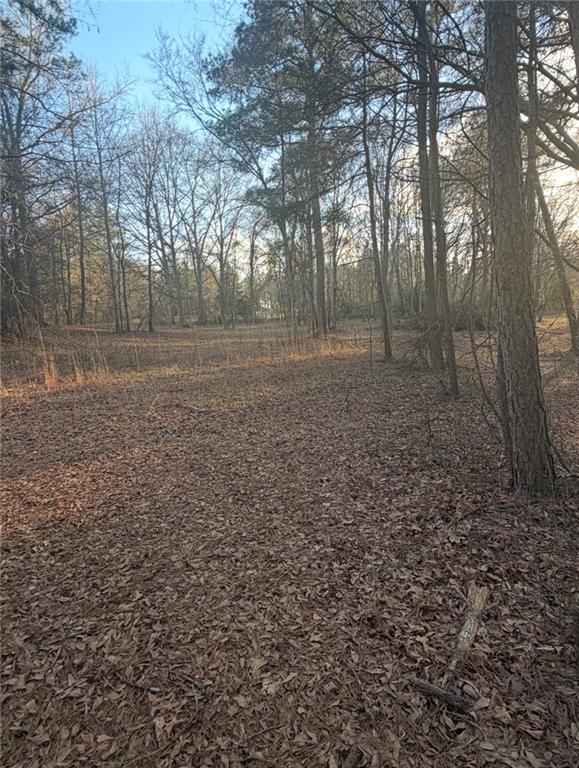 0 Jett Roberts Road Jefferson, GA 30549 - Photo 3 of 6