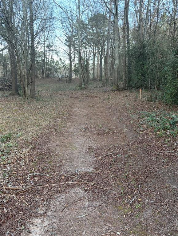 0 Jett Roberts Road Jefferson, GA 30549 - Photo 4 of 6
