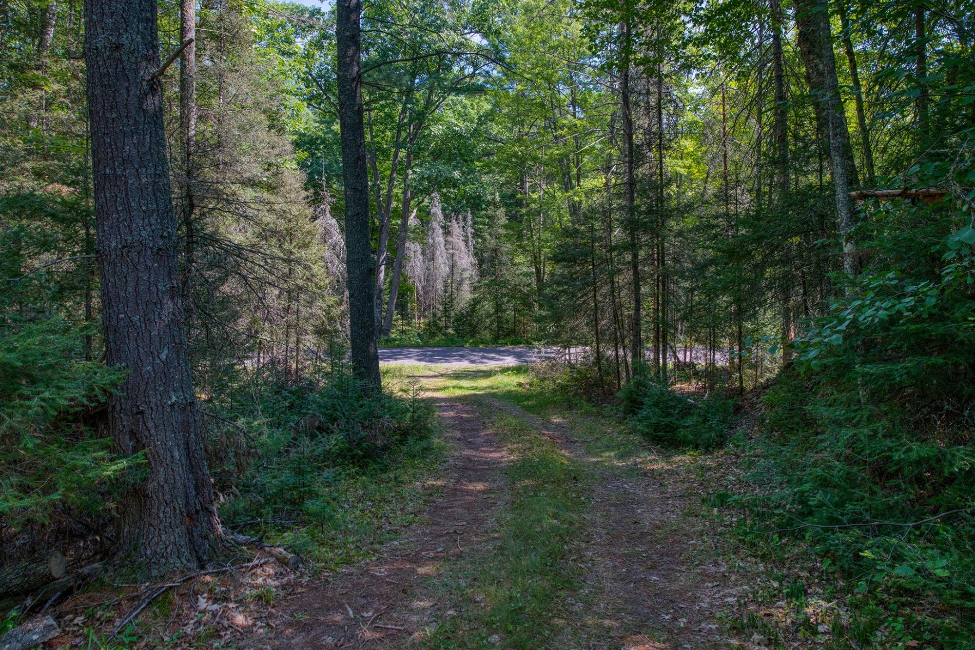 4285 Camp Two Road Star Lake, WI 54561 - Photo 21 of 45 Gallery Image 21