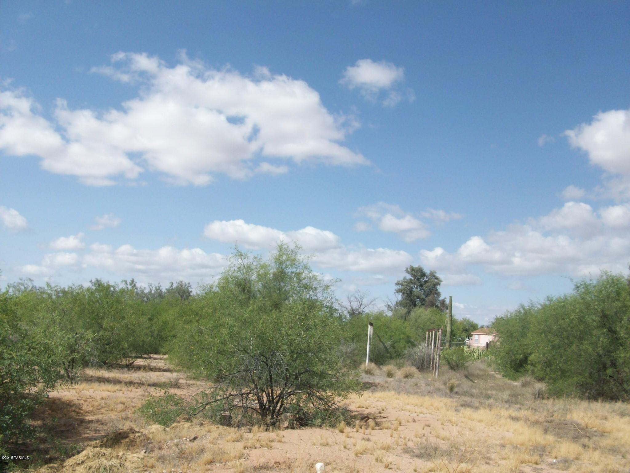 16155 West El Tiro Road Marana, AZ 85653 - Photo 7 of 7