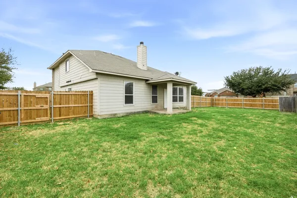 a view of a backyard with plants and large tree