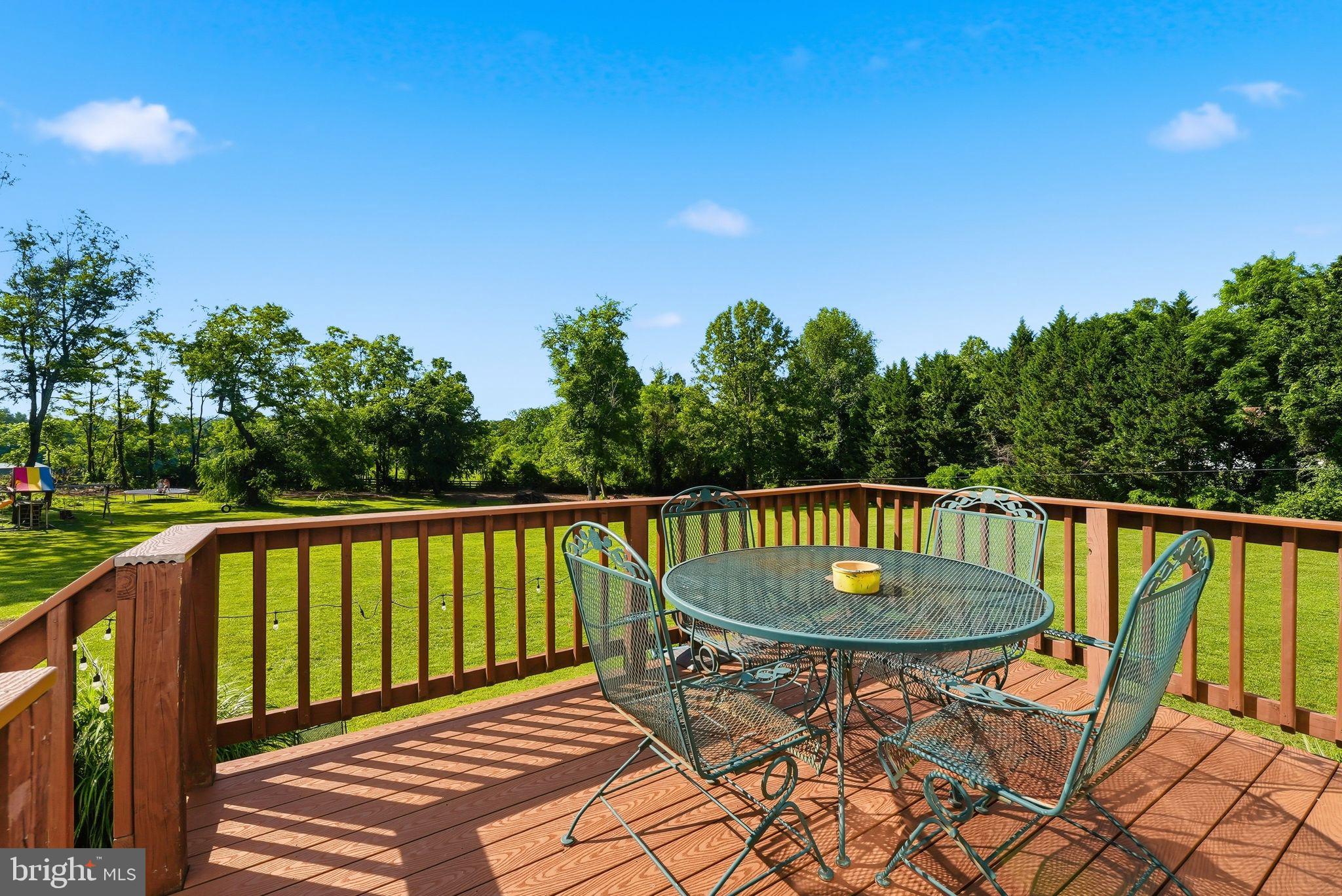 18198 Springs Road Jeffersonton, VA 22724 - Photo 20 of 80 Deck and view of yard