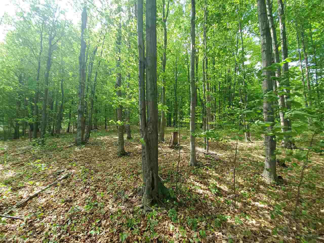 1046 Adams Road Frankfort, MI 49635 - Photo 38 of 53 1887930-37.JPG