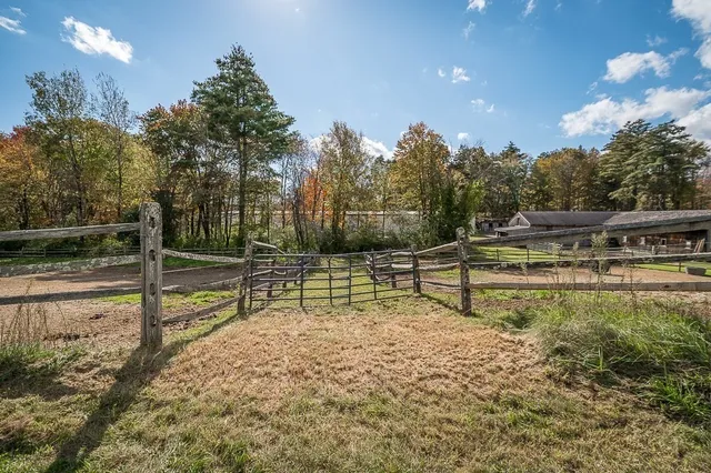 a view of a park with large trees
