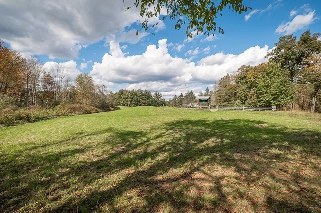 a view of yard with green space
