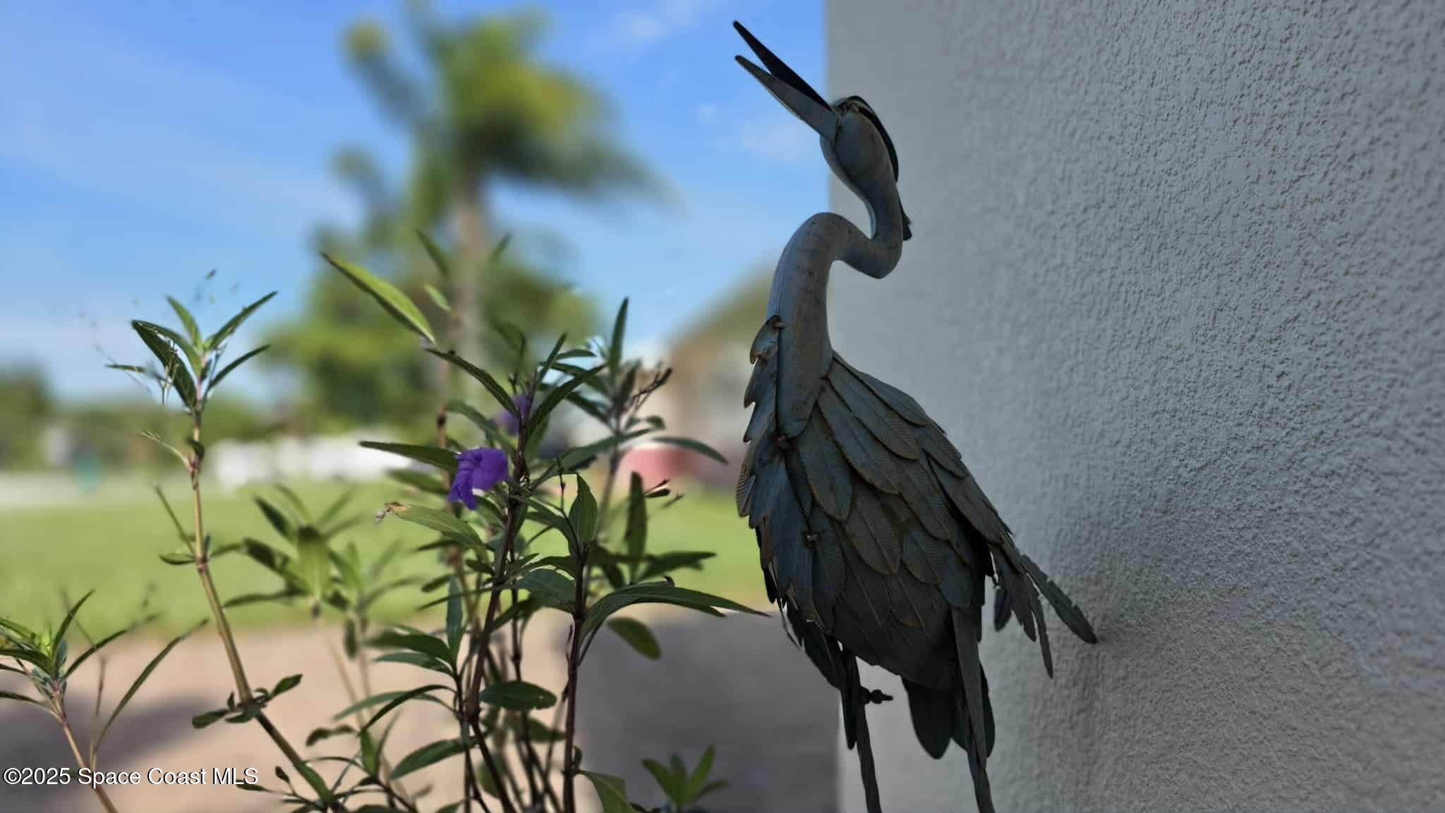 410 4th Street Merritt Island, FL 32953 - Photo 37 of 37 a close up of a flower in a pot