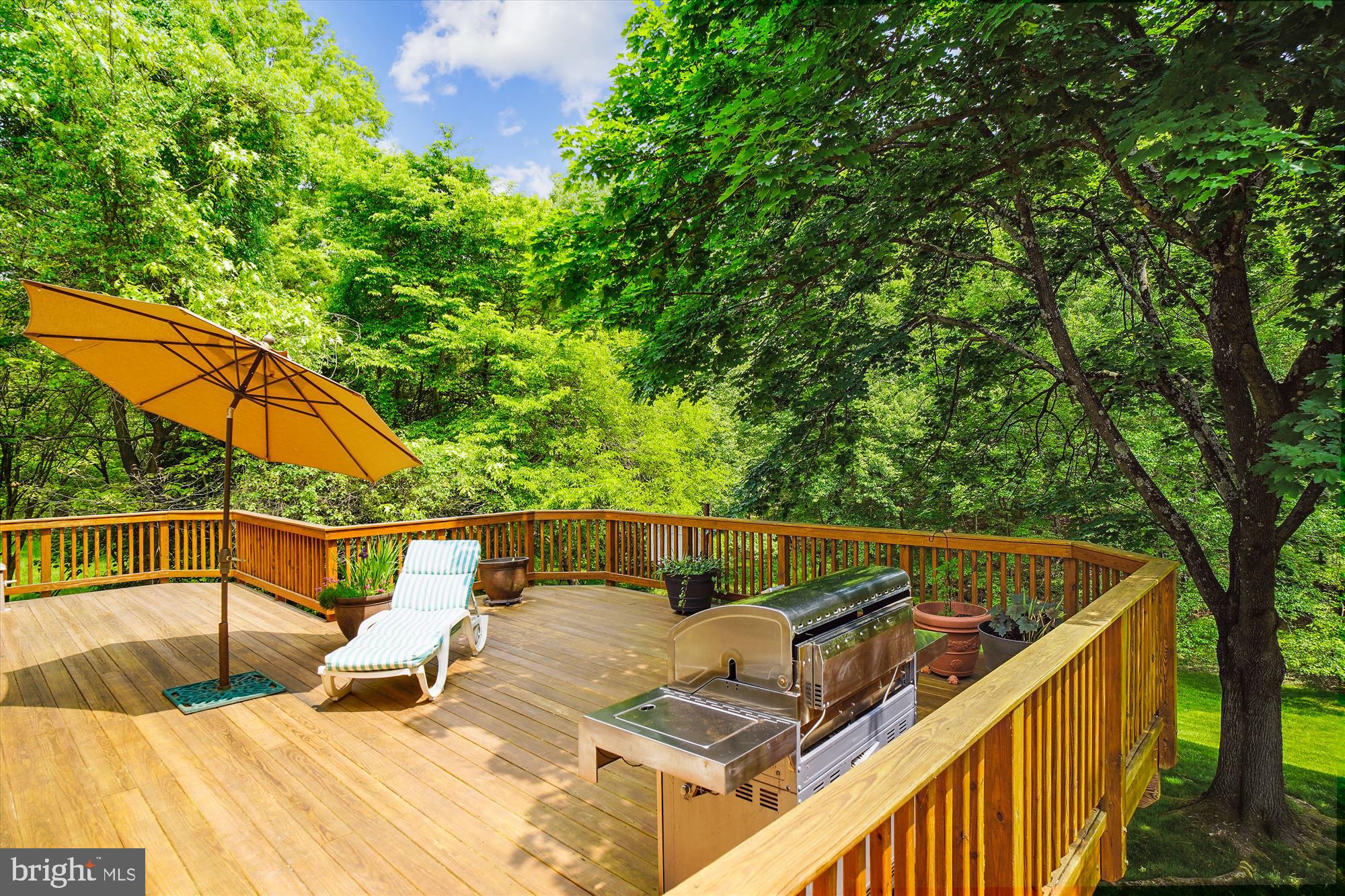 14109 Sturtevant Road Silver Spring, MD 20905 - Photo 59 of 75