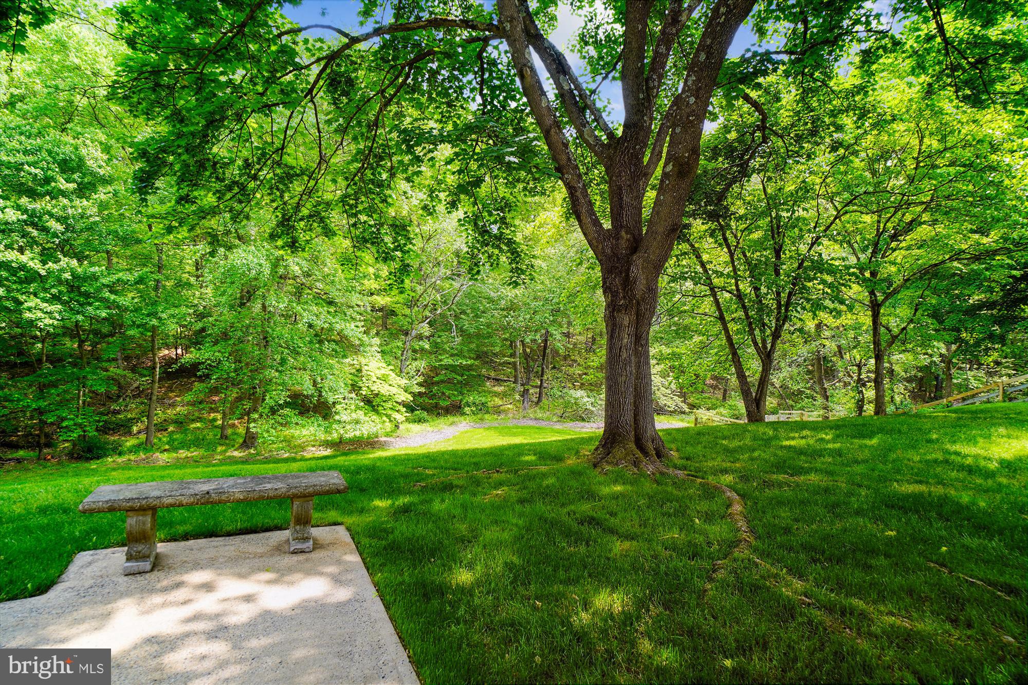 14109 Sturtevant Road Silver Spring, MD 20905 - Photo 68 of 75