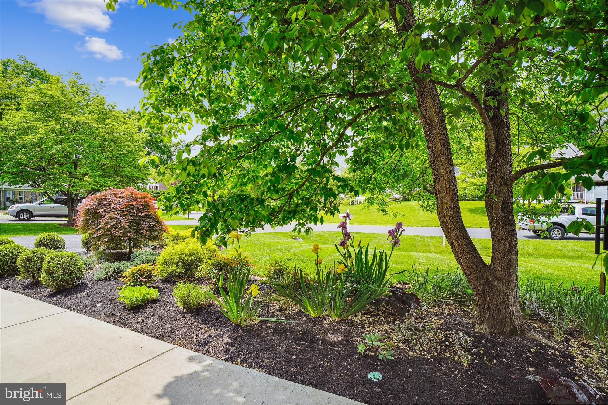 14109 Sturtevant Road Silver Spring, MD 20905 - Photo 7 of 75