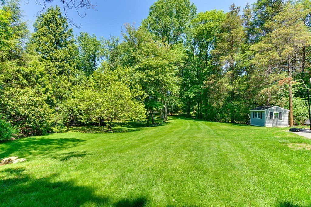 8 Tamarack Road Weston, MA 02493 - Photo 21 of 23 a view of a grassy field with trees
