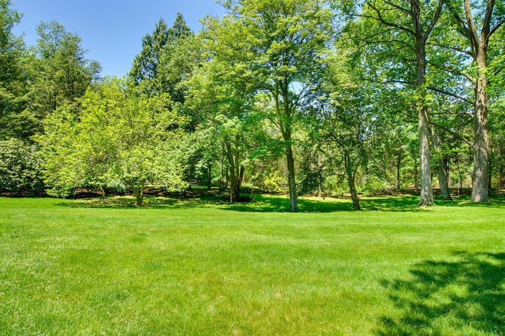 8 Tamarack Road Weston, MA 02493 - Photo 22 of 23 a view of a grassy field with trees