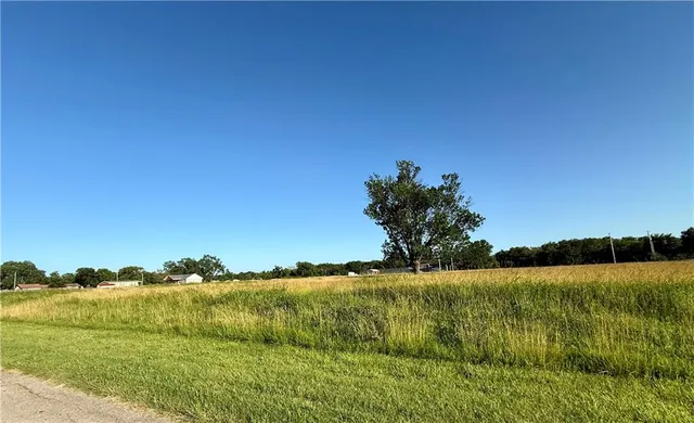 $50,000 | 0 Park Street, Cherryvale, KS 67335