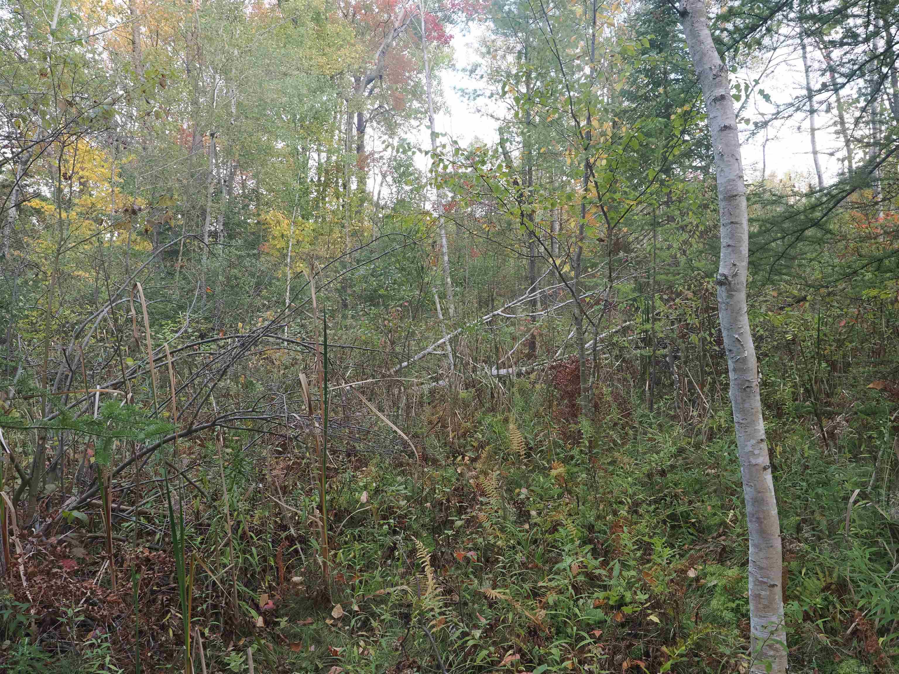 Xxx Tolan Road Spruce, MI 48762 - Photo 56 of 79
