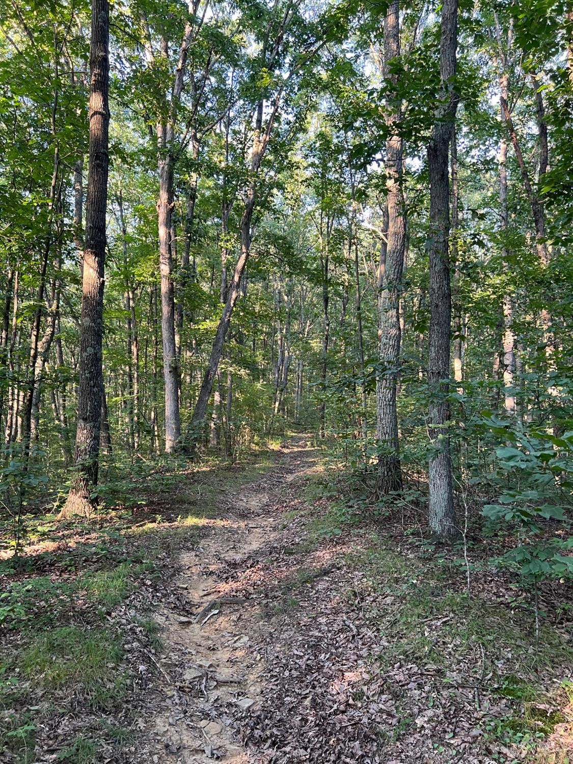 0 Tabernacle Road Chillicothe, OH 45601 - Photo 49 of 64