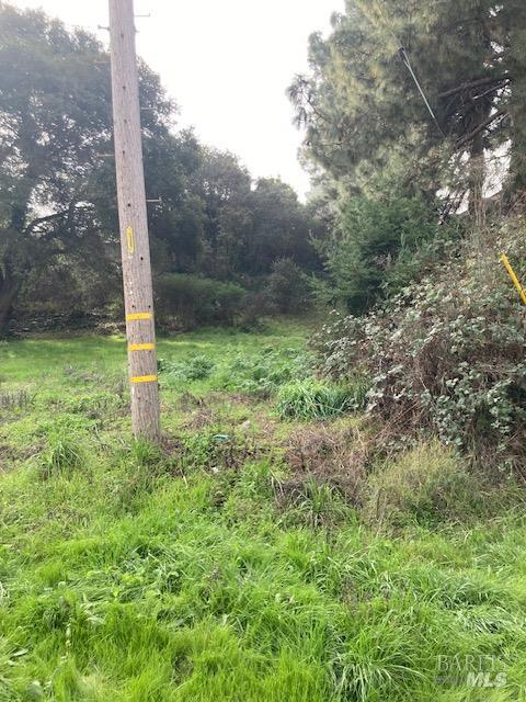 0 Hazel Street Pinole, CA 94564 - Photo 3 of 5