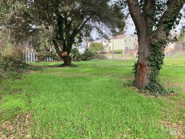 a view of yard with tree s