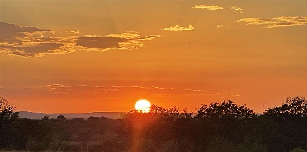 2221 Lemons Gap Road Ovalo, TX 79541 - Photo 12 of 17