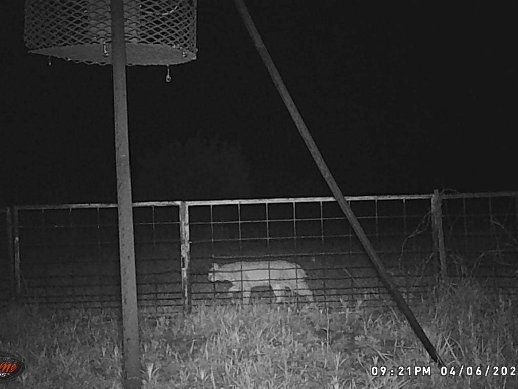 2221 Lemons Gap Road Ovalo, TX 79541 - Photo 16 of 17