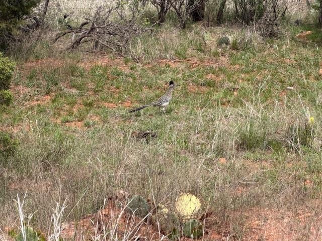 2221 Lemons Gap Road Ovalo, TX 79541 - Photo 17 of 17 a view of a interior of the house