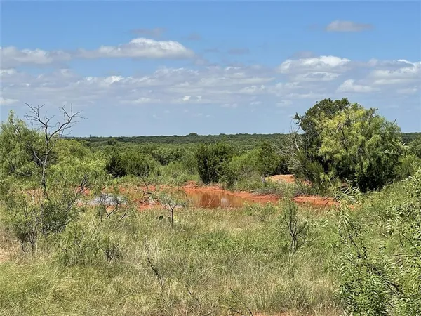 a view of a bunch of trees and bushes