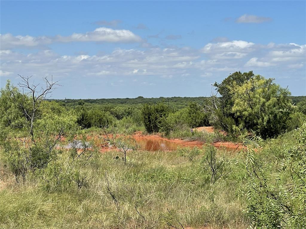 2221 Lemons Gap Road Ovalo, TX 79541 - Photo 6 of 17