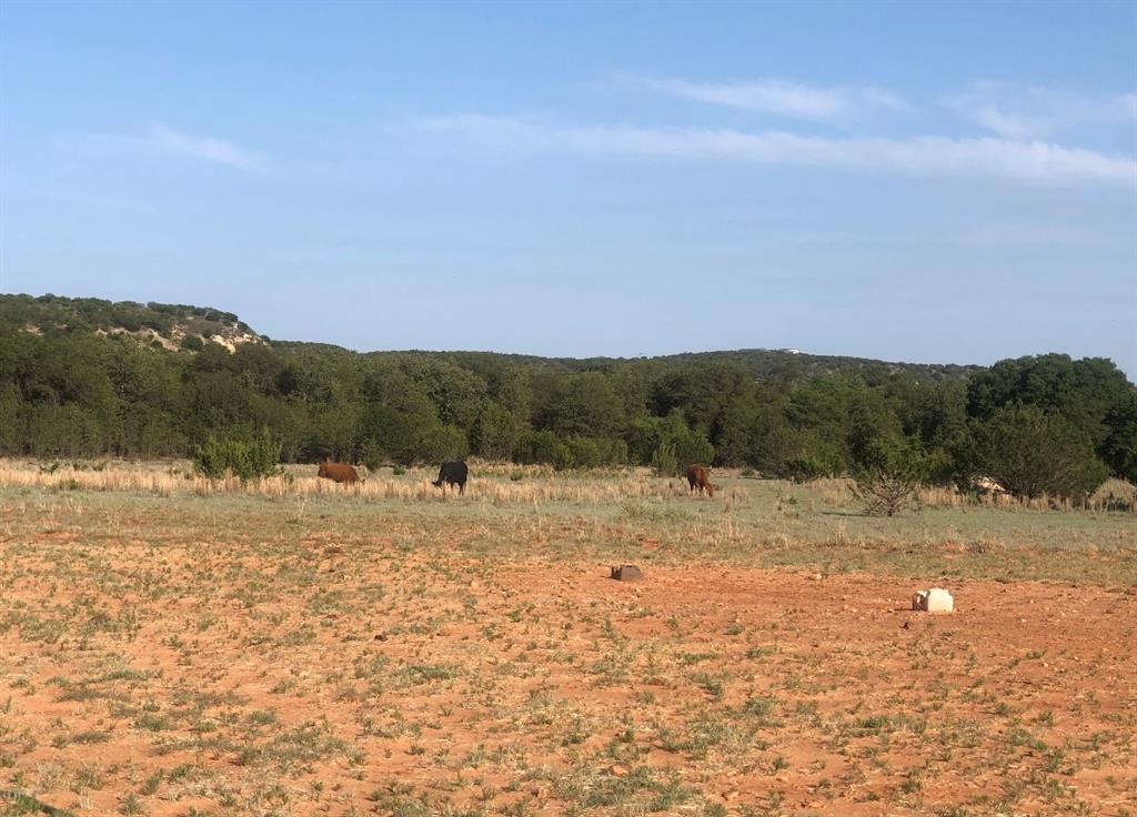 2221 Lemons Gap Road Ovalo, TX 79541 - Photo 7 of 17
