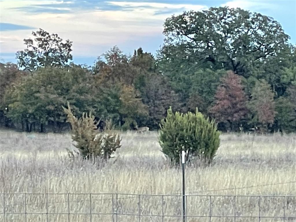 2221 Lemons Gap Road Ovalo, TX 79541 - Photo 9 of 17