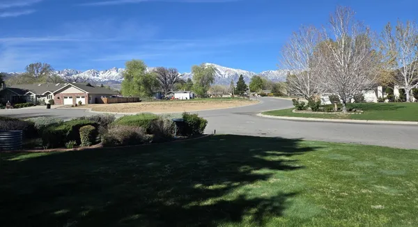 a view of green field with trees