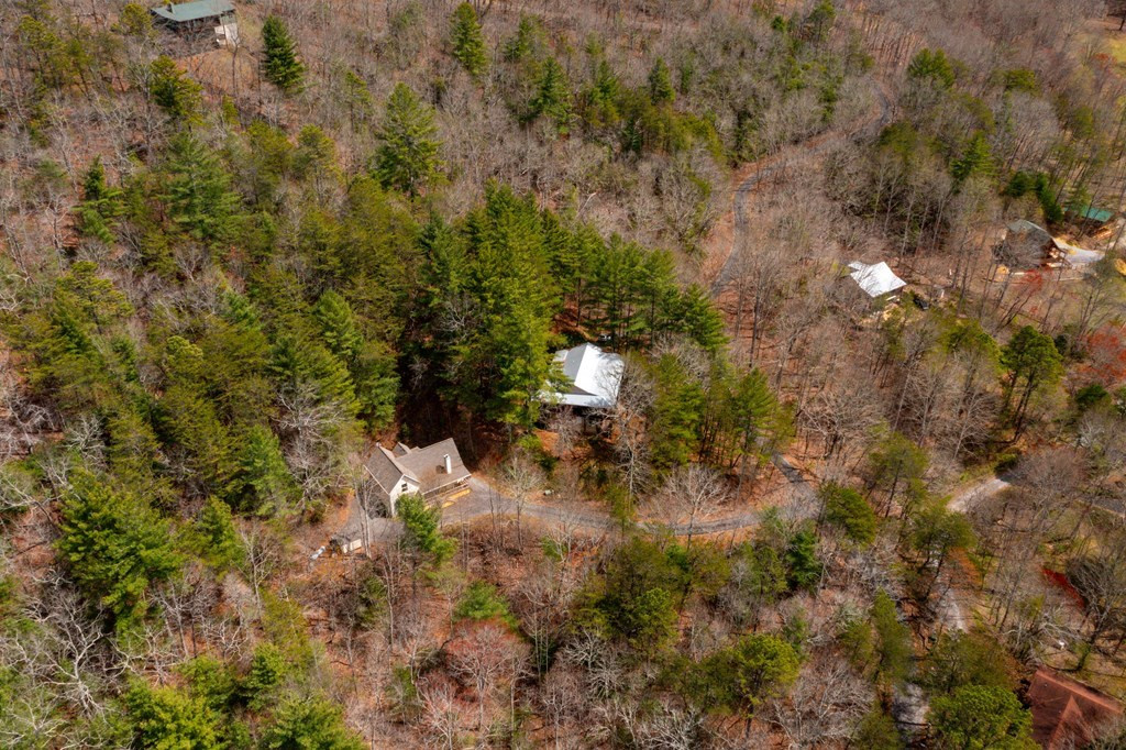 4115 Twiggs Road Blairsville, GA 30512 - Photo 21 of 40 Gallery Image 21