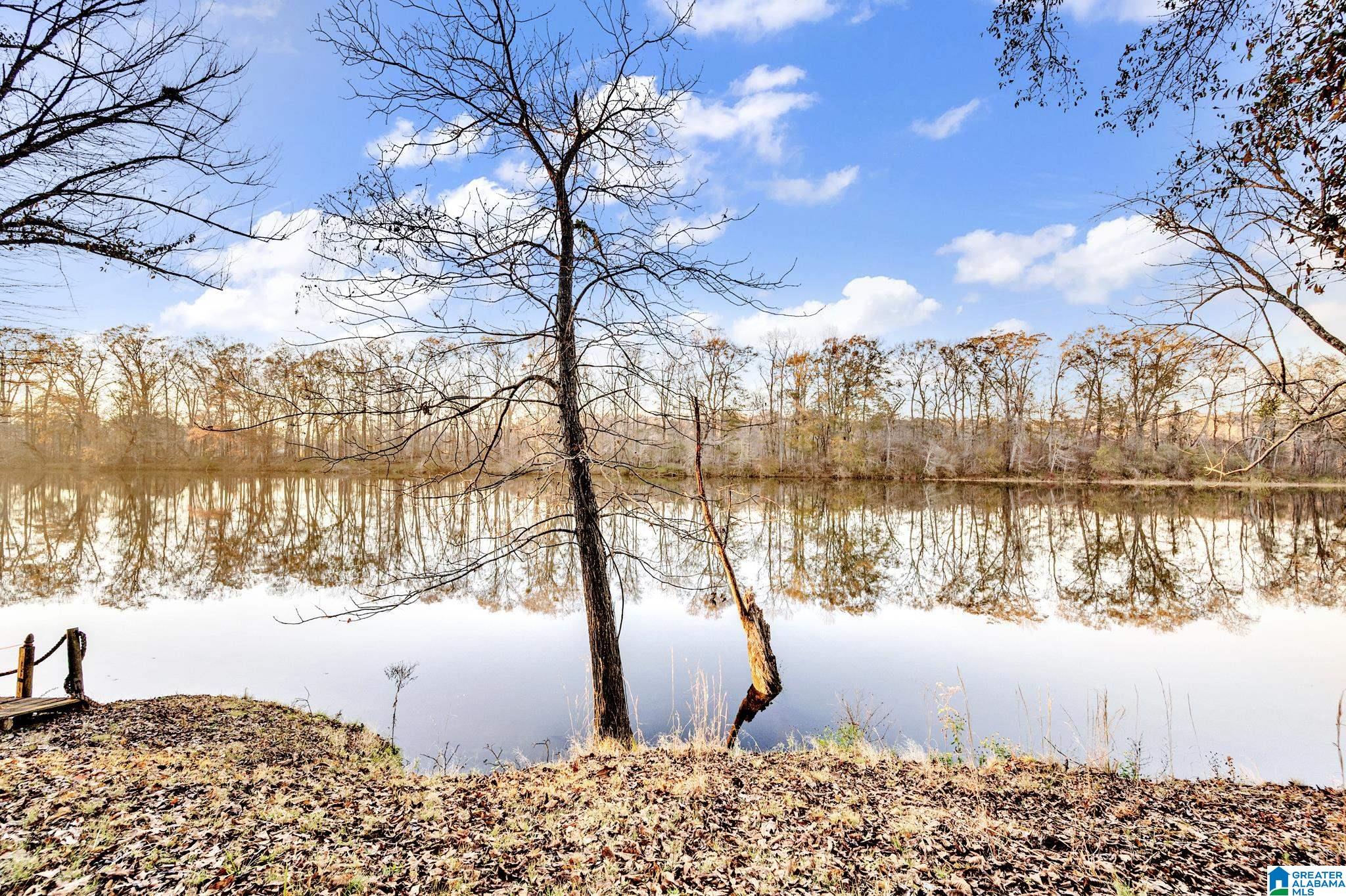 135 River Run Road Childersburg, AL 35044 - Photo 2 of 40