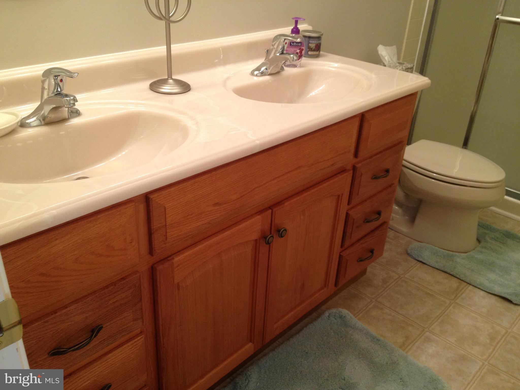 306 Happy Creek Road Locust Grove, VA 22508 - Photo 13 of 28 Bath (Master)