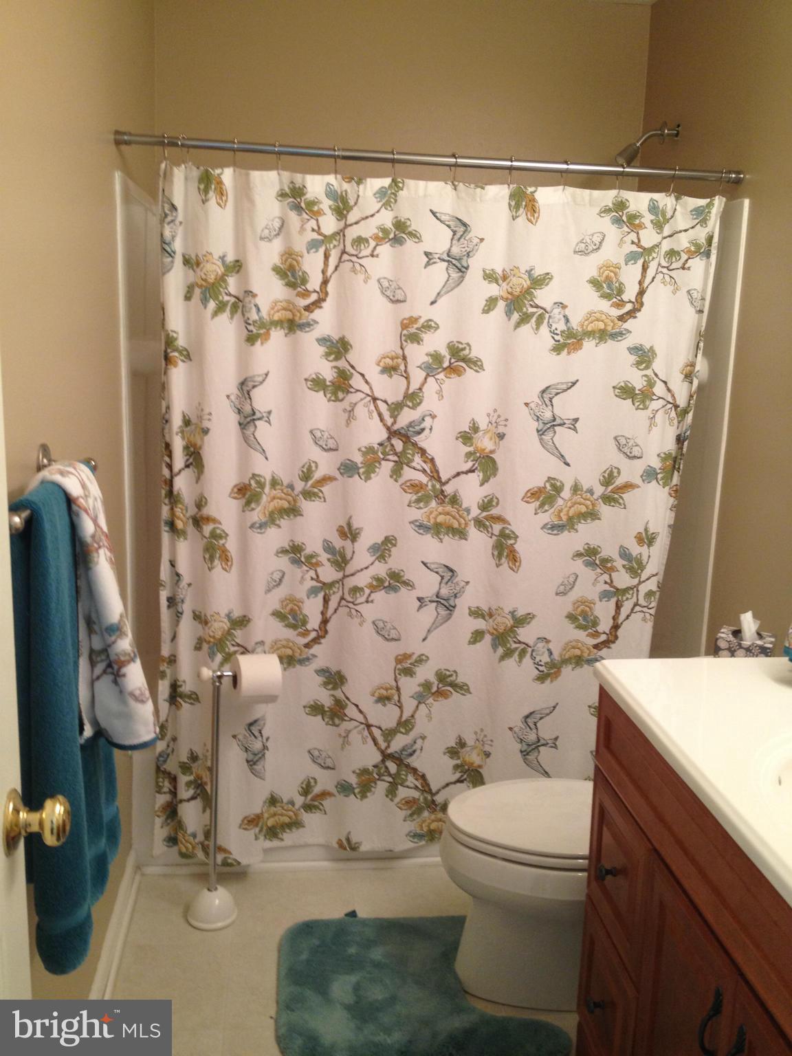 306 Happy Creek Road Locust Grove, VA 22508 - Photo 17 of 28 Bath w/newer toilet/vanity/cabinetry