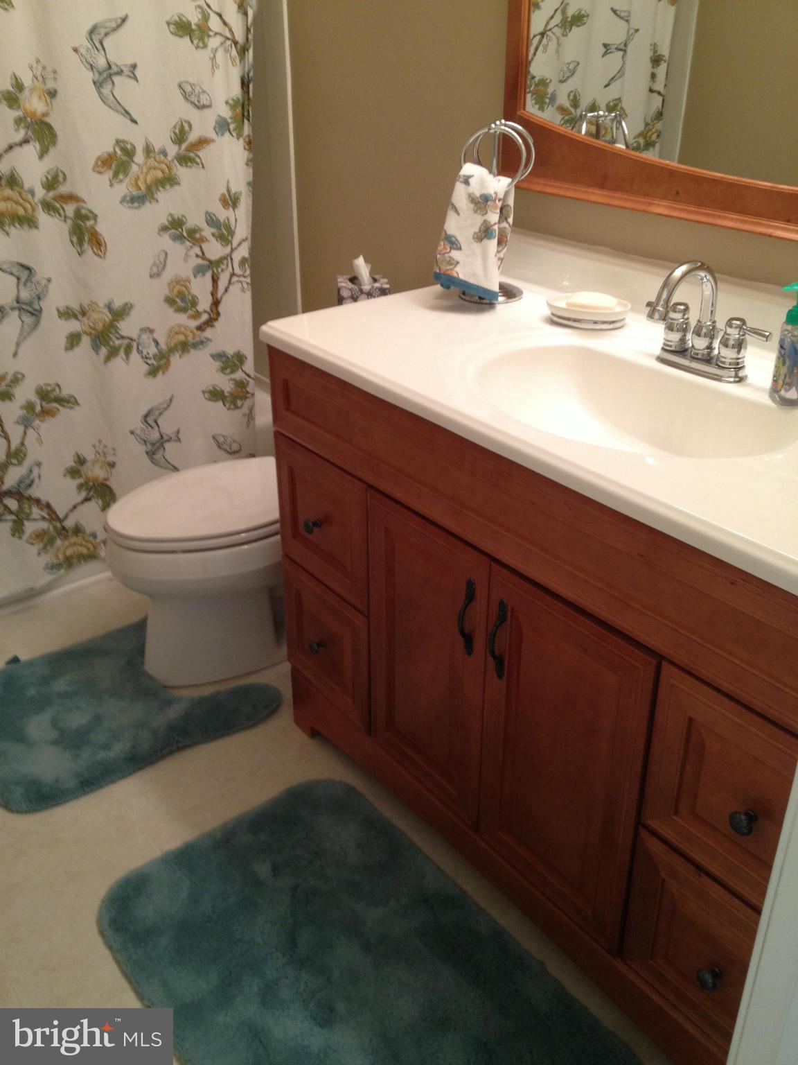 306 Happy Creek Road Locust Grove, VA 22508 - Photo 18 of 28 Bath