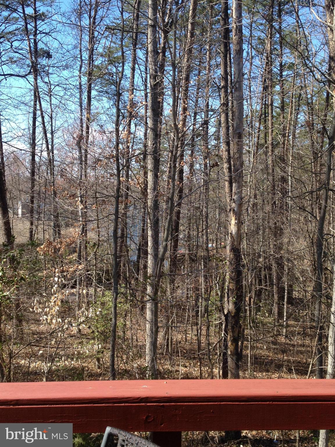 306 Happy Creek Road Locust Grove, VA 22508 - Photo 22 of 28 View of lake from deck