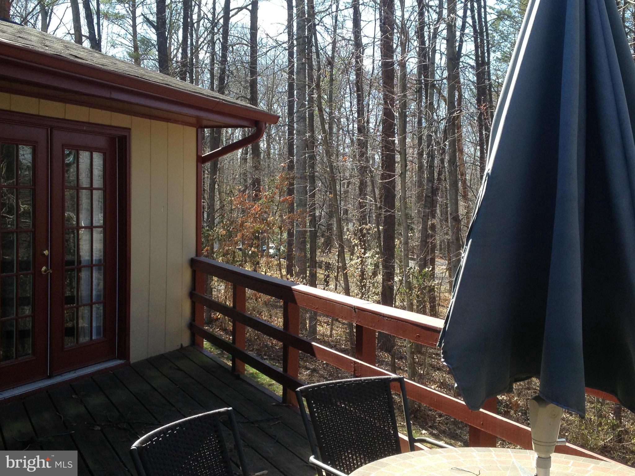 306 Happy Creek Road Locust Grove, VA 22508 - Photo 23 of 28 Exterior (General)
