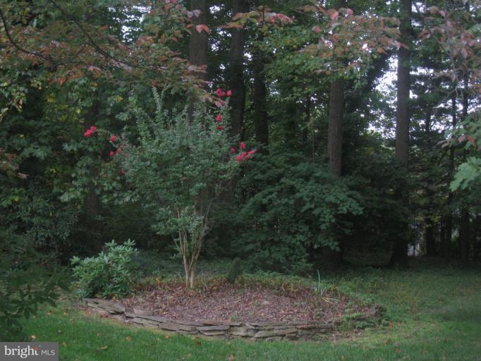 12912 Ruxton Road Silver Spring, MD 20904 - Photo 2 of 10 a view of outdoor space and yard
