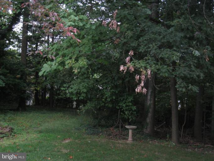 12912 Ruxton Road Silver Spring, MD 20904 - Photo 3 of 10 a view of a yard