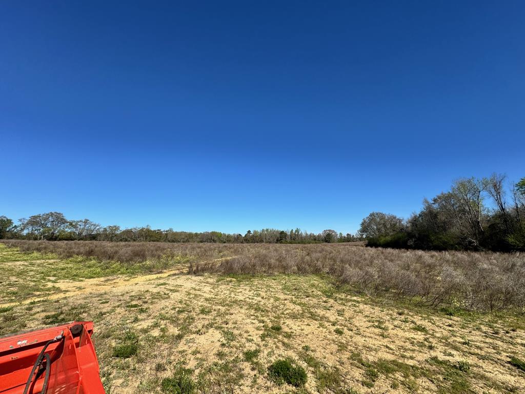 0 Macedonia Ch Road Columbia, AL 36319 - Photo 28 of 61